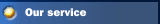 Our service